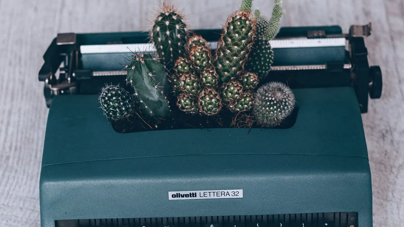 a typewriter with cactus plants in it